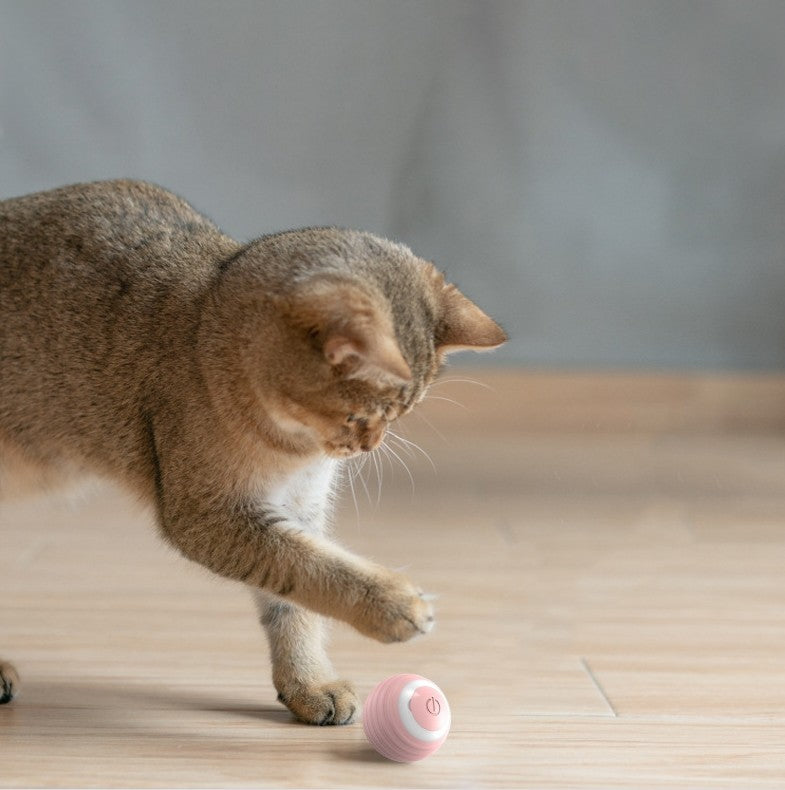 Palla giocattolo per gatti automatica che si muove, rimbalza e rotola, giocattolo intelligente che si muove da solo per gattini e gatti da interno