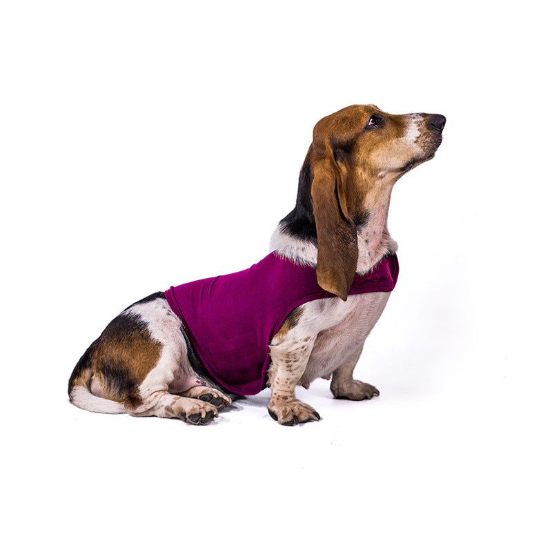 Gilet Antistress Estivo Terapeutico per Calmante Gatto Abiti Comfort per Cani