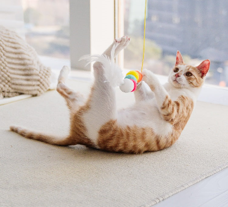 Giocattoli per gatti Simulazione Giocattoli carini Divertenti giocattoli interattivi autonomi Topo che afferra la corda Appeso telescopico Forniture per animali domestici