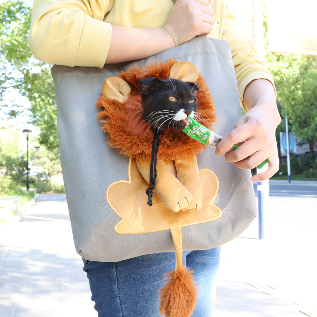 Trasportini Morbidi per Animali Domestici, Design Leone, Borsa Trasportino Portatile Traspirante per Gatti e Cani, Borsa da Viaggio per Animali Domestici con Cerniere di Sicurezza