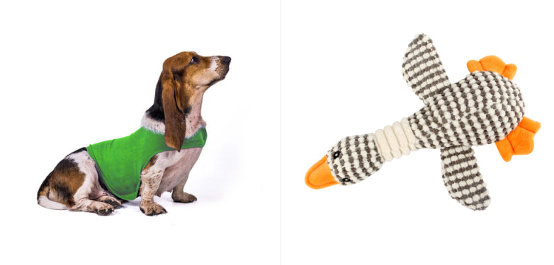 Gilet Antistress Estivo Terapeutico per Calmante Gatto Abiti Comfort per Cani