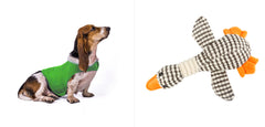 Gilet Antistress Estivo Terapeutico per Calmante Gatto Abiti Comfort per Cani