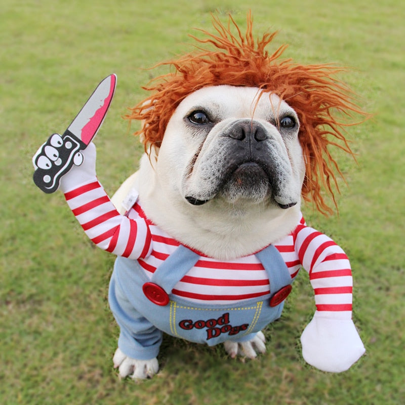 Costume di Halloween per animali domestici, abiti divertenti per cani, costume da cosplay regolabile per cani, costume spaventoso per feste e raduni