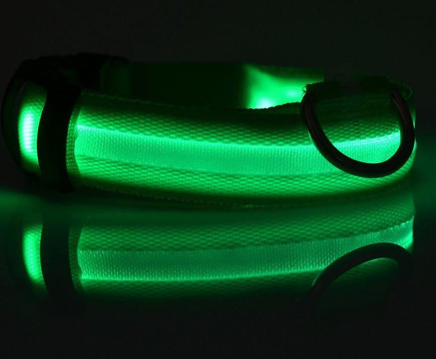 Collare luminoso a LED in nylon per animali domestici, sicurezza notturna, lampeggiante, che si illumina al buio, per cani e gatti, regolabile, forniture per animali domestici