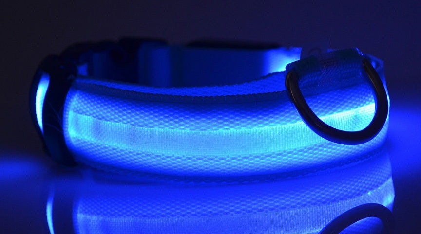 Collare luminoso a LED in nylon per animali domestici, sicurezza notturna, lampeggiante, che si illumina al buio, per cani e gatti, regolabile, forniture per animali domestici