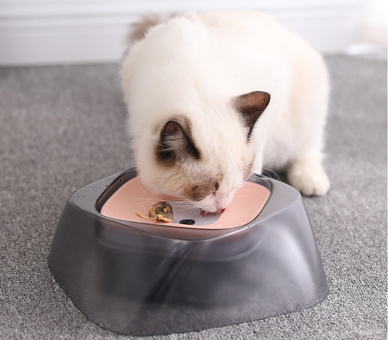 Ciotola galleggiante per cani, non bagna la bocca, ciotola per gatti, beverino antigoccia