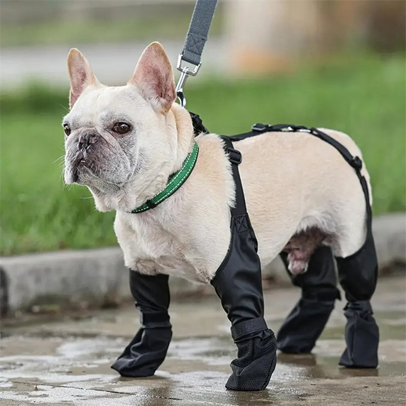 Scarpe impermeabili per cani Stivali regolabili per cani Scarpe traspiranti per animali domestici per passeggiate all'aperto Scarpe morbide per cani francesi Protezione zampe per animali domestici Prodotti per animali domestici