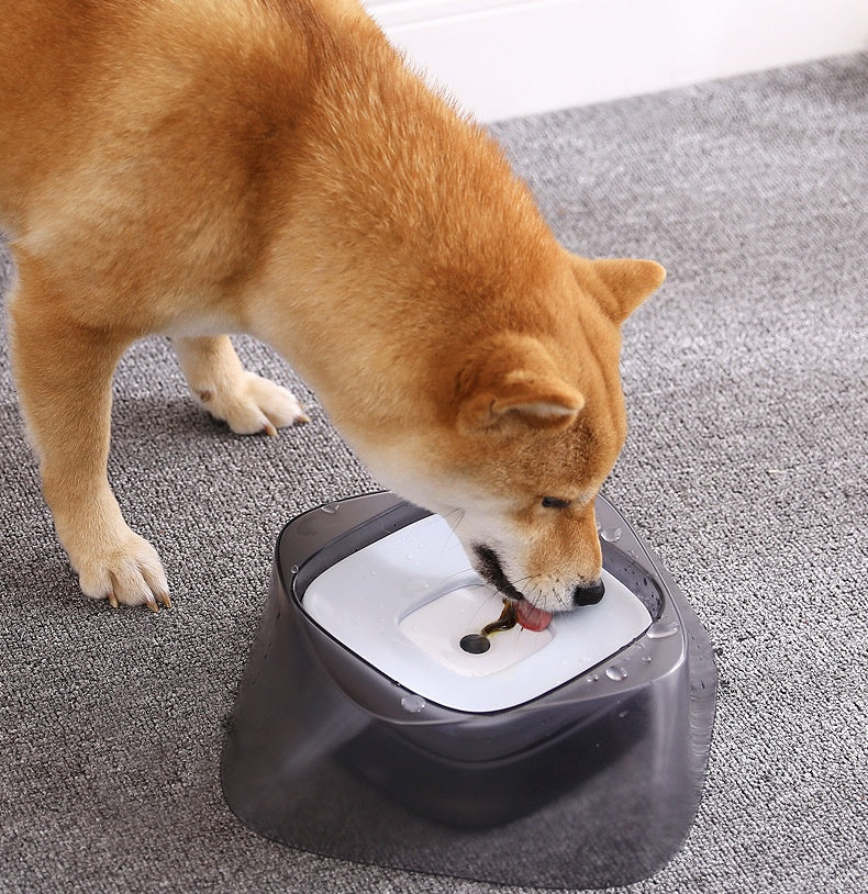 Ciotola galleggiante per cani, non bagna la bocca, ciotola per gatti, beverino antigoccia