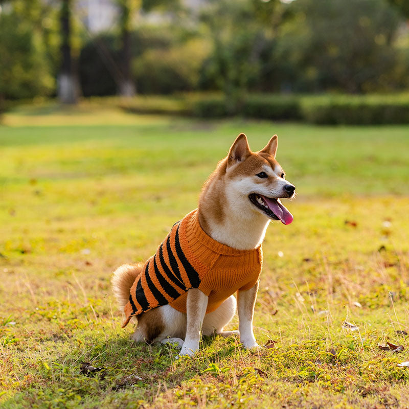 Maglioni di Halloween per cani, costume per animali domestici, maglione Teddy caldo per il tempo libero, abiti Cosplay per cani, vestiti per animali domestici
