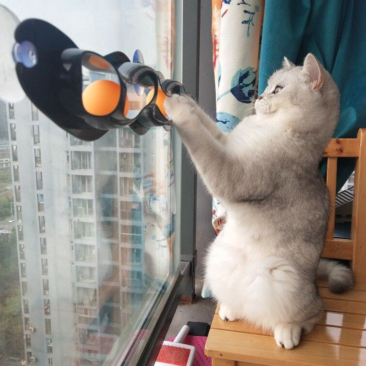 Windowsill Pets Gioco per gatti con pallina su pista Prodotti per animali domestici