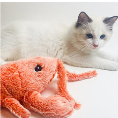 Giocattolo per Animali Domestici Gamberetto Elettrico Saltellante Ricarica USB Simulazione Aragosta Divertente Gatto Peluche Giocattolo per Animali Domestici