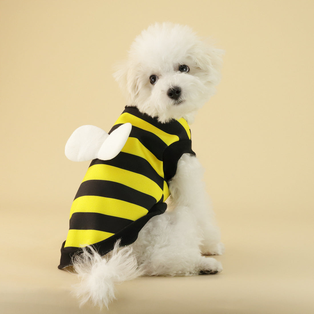 Maglione in pile piccolo medio per cani e gatti con rana, prodotti per animali domestici