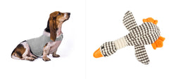 Gilet Antistress Estivo Terapeutico per Calmante Gatto Abiti Comfort per Cani