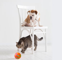 Pet New Cat Wicked Ball Toy, Palla Intelligente USB, Giocattolo Gatto con Sfera Rotante Automatica