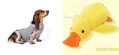 Gilet Antistress Estivo Terapeutico per Calmante Gatto Abiti Comfort per Cani