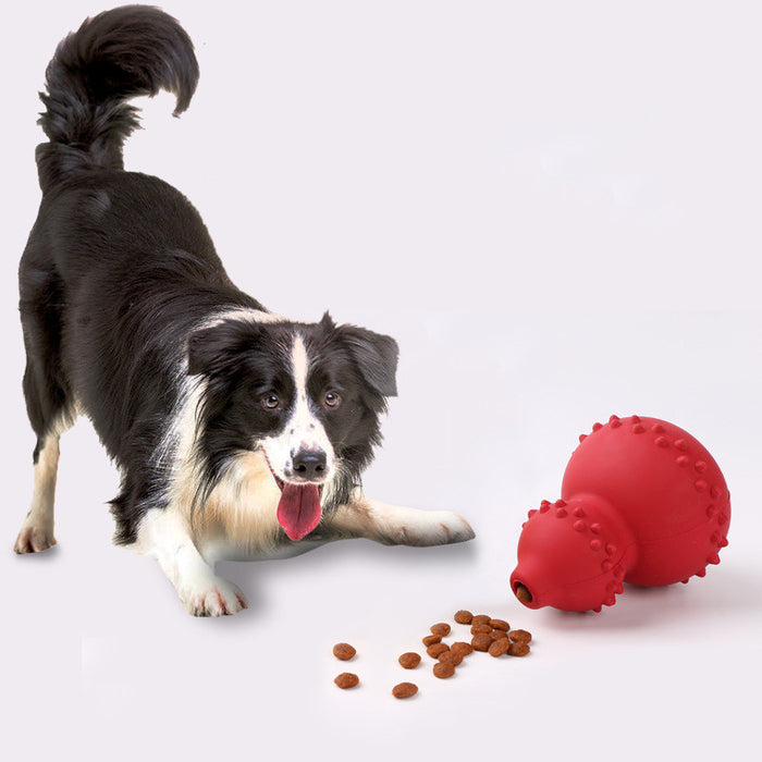 Juguete para mascotas de caucho natural resistente a mordeduras y para el cuidado dental