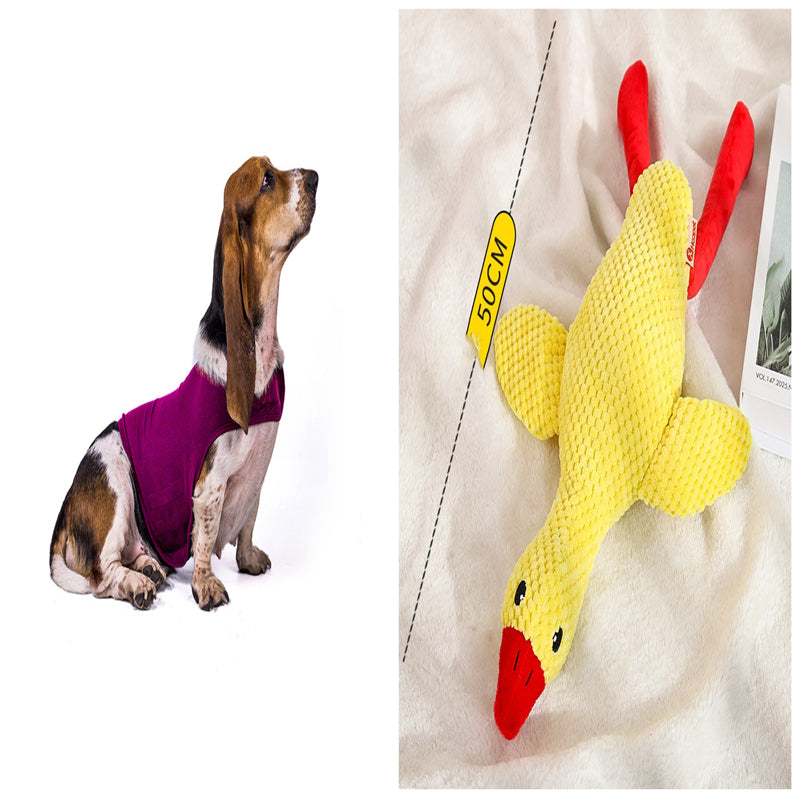 Gilet Antistress Estivo Terapeutico per Calmante Gatto Abiti Comfort per Cani