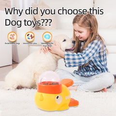 Interactive Puzzle Feeder