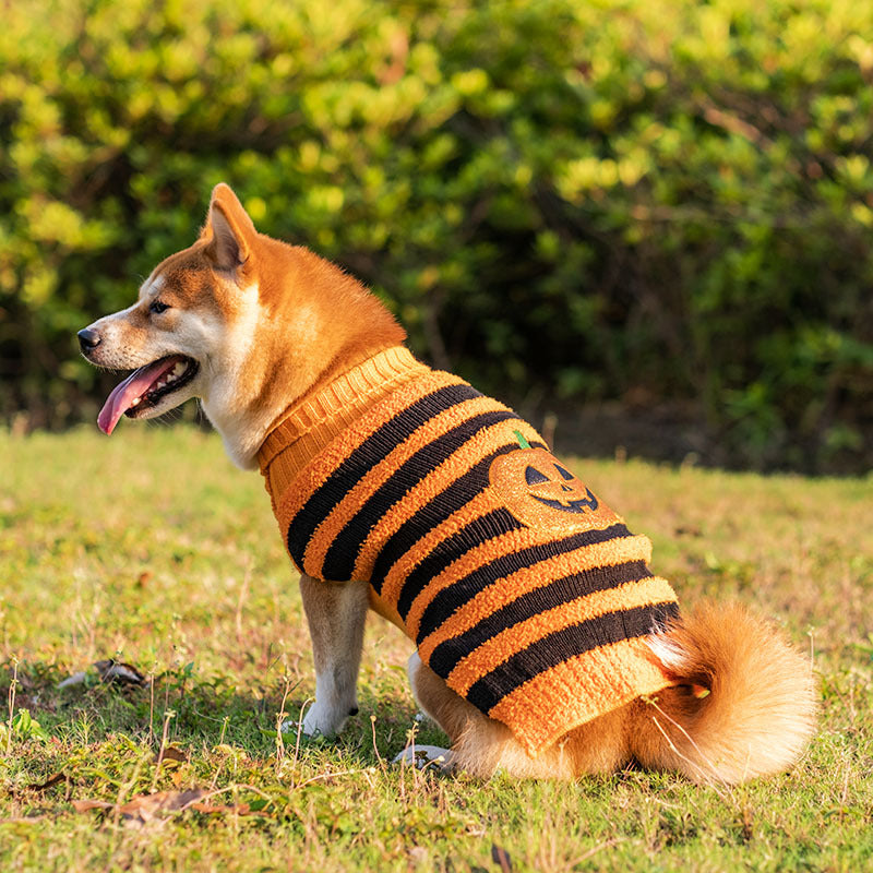 Maglioni di Halloween per cani, costume per animali domestici, maglione Teddy caldo per il tempo libero, abiti Cosplay per cani, vestiti per animali domestici