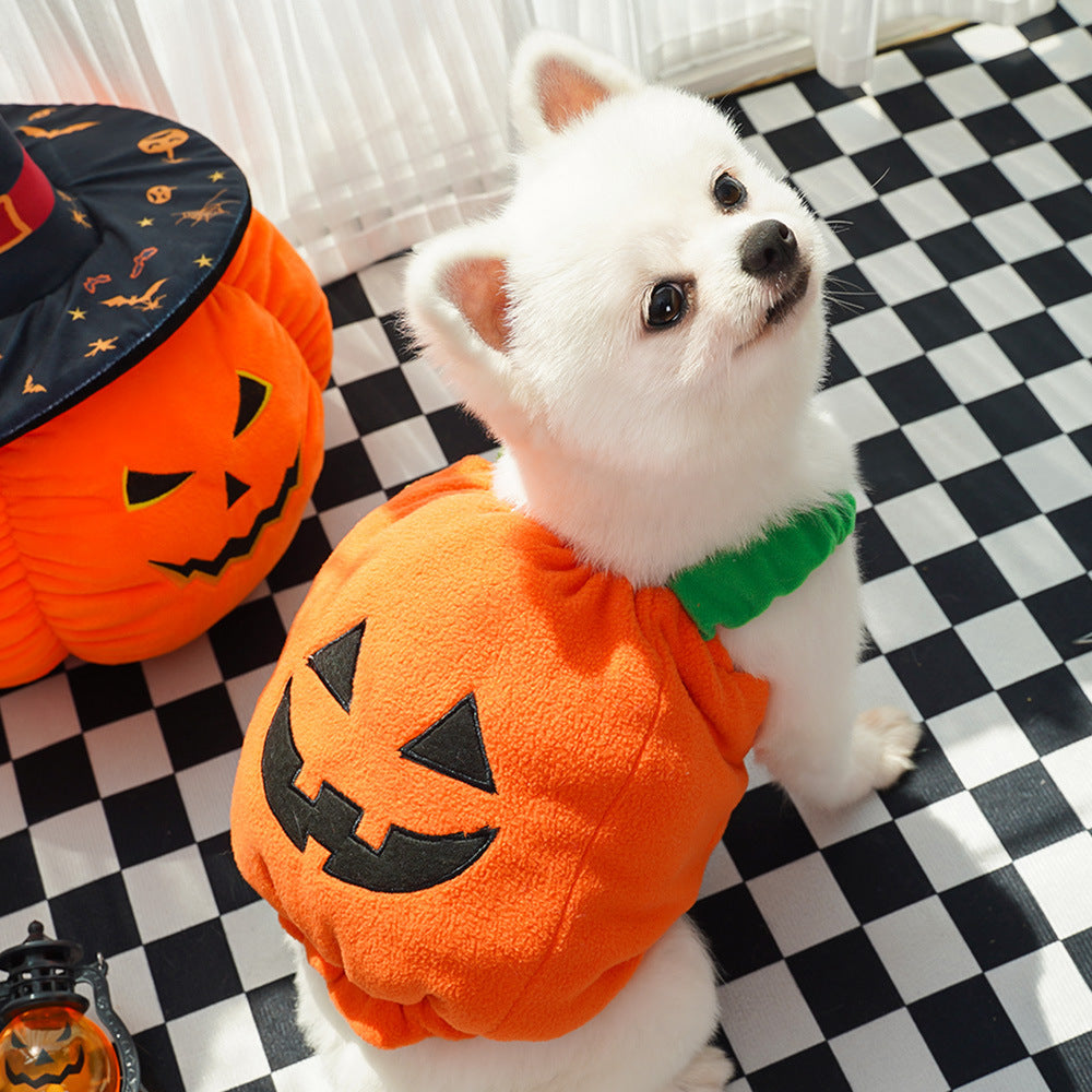 Gilet Zucca di Halloween per Cani Gatti Costume Festivo per Animali Domestici Imbracatura Divertente Abbigliamento di Ringraziamento Natale per Piccoli Animali