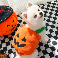 Gilet Zucca di Halloween per Cani Gatti Costume Festivo per Animali Domestici Imbracatura Divertente Abbigliamento di Ringraziamento Natale per Piccoli Animali