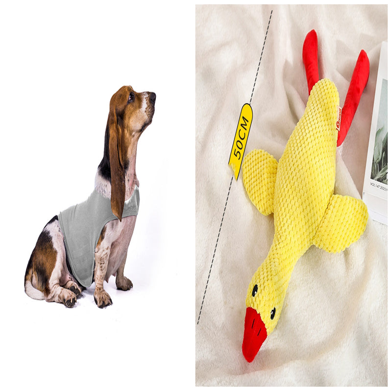 Gilet Antistress Estivo Terapeutico per Calmante Gatto Abiti Comfort per Cani