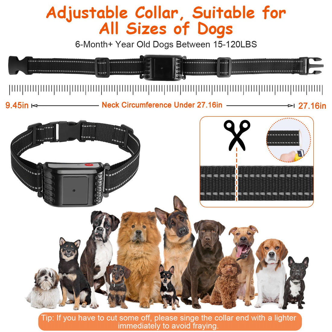 1 Set di Collare Addestramento Remoto per Cane con Recinto Wireless da 300 Metri, Ricevitore Impermeabile IPX6 con Modalità Bip Vibrazione Scossa da 0-9 Livelli, Sistema Trasmettitore Ricaricabile a 4 Canali