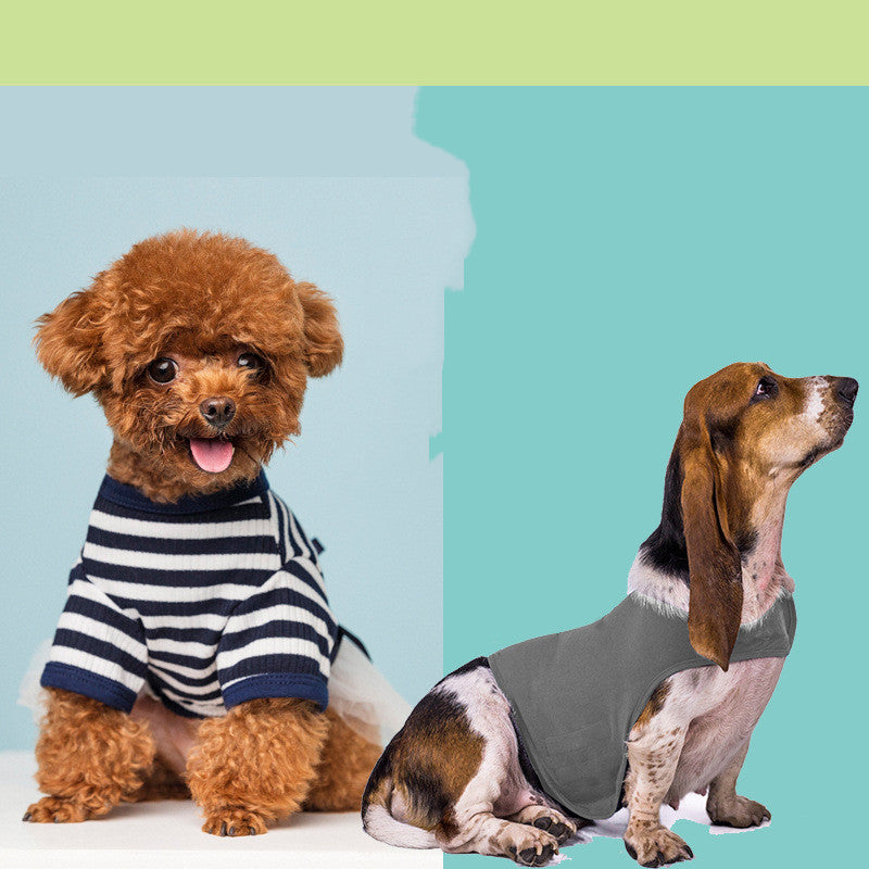Gilet Antistress Estivo Terapeutico per Calmante Gatto Abiti Comfort per Cani