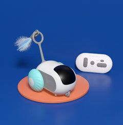 Remote-Control Smart Cat Car