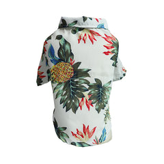 Camicia sottile per cani primavera ed estate, vestiti per corgi e gatti blu
