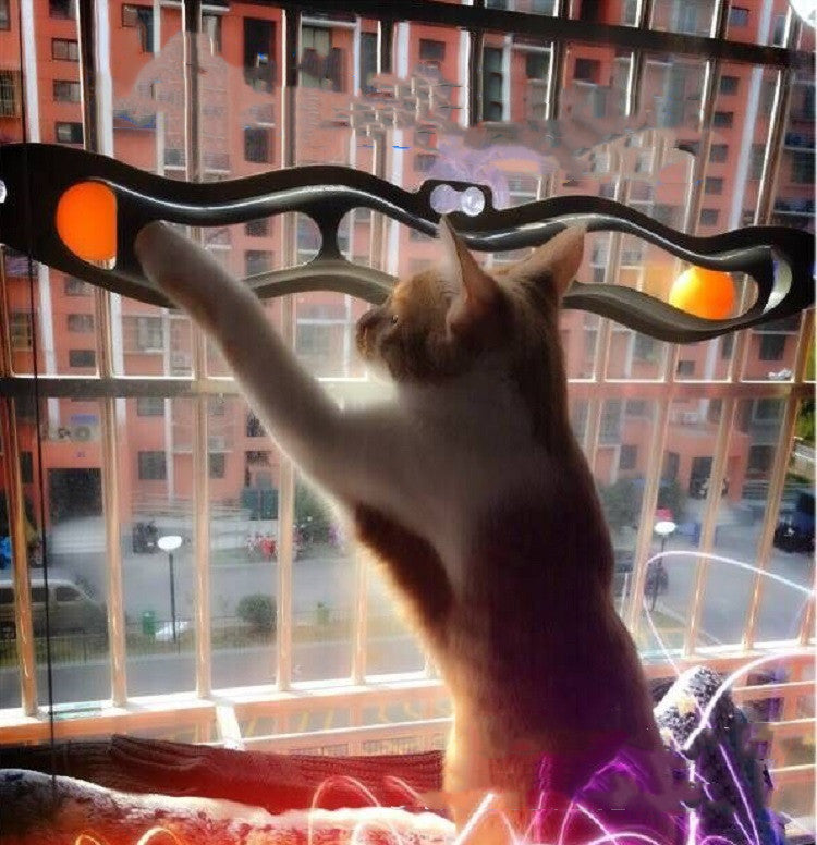 Windowsill Pets Gioco per gatti con pallina su pista Prodotti per animali domestici