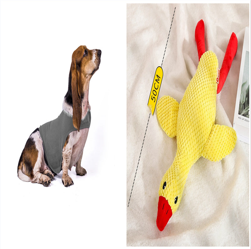 Gilet Antistress Estivo Terapeutico per Calmante Gatto Abiti Comfort per Cani