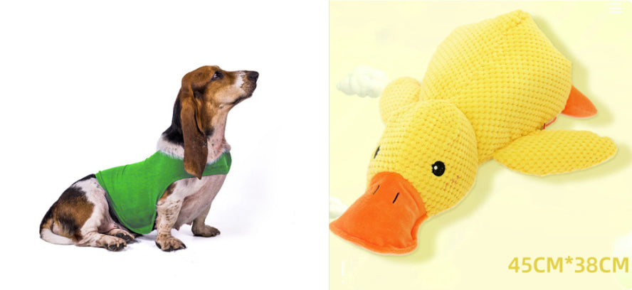 Gilet Antistress Estivo Terapeutico per Calmante Gatto Abiti Comfort per Cani