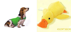 Gilet Antistress Estivo Terapeutico per Calmante Gatto Abiti Comfort per Cani
