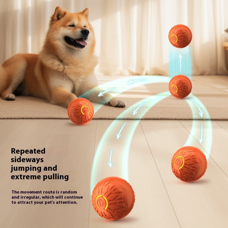 Pallina Elettrica Rimbalzante per Animali Domestici, Automatica per Prendere in Giro i Cani, Luminosa, Prodotti per Animali Domestici, Palline Giocattolo per Addestramento Cani, Resistente