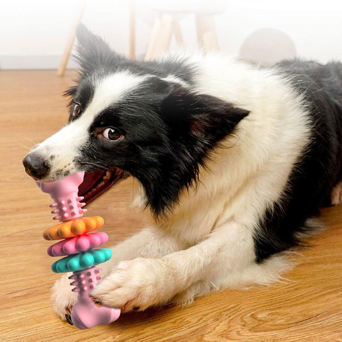 Giocattolo da Masticare per Cani Tipo Osso  Giocattoli per la Pulizia dei Denti dei Cani Osso Indistruttibile in TPR Resistente ai Morsi Giocattoli da Dentizione Prodotti per Animali Domestici