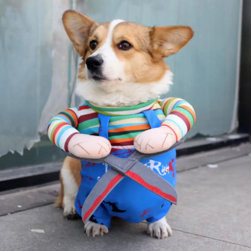 Costume di Halloween per animali domestici, gatto, vestito divertente con spalline regolabili, tuta a forma di forbice, cosplay, vestiti di Halloween e Natale per cani