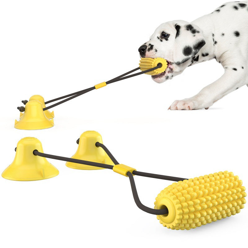 Ventosa mais che galleggia sull'acqua cane