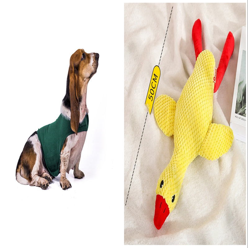 Gilet Antistress Estivo Terapeutico per Calmante Gatto Abiti Comfort per Cani