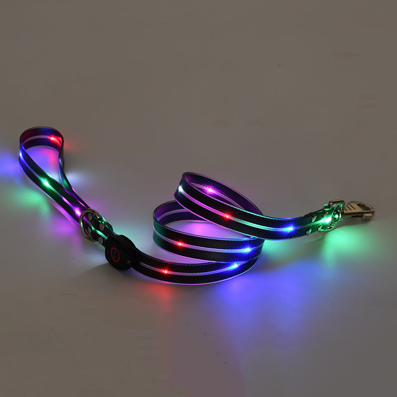 Collare Luminoso a LED Ricaricabile per Animali Domestici in Nylon con Corda da Tiro