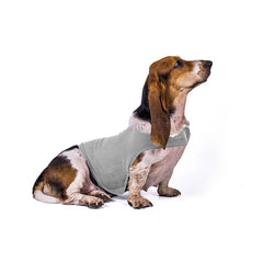 Gilet Antistress Estivo Terapeutico per Calmante Gatto Abiti Comfort per Cani
