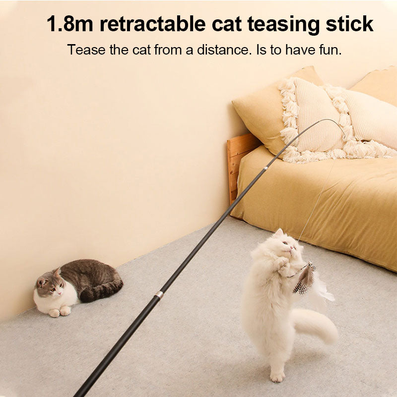 Giocattolo per animali domestici: bacchetta estensibile "Cat-teasing" con canna da 180 cm, testina di ricambio con piuma, bacchetta "Cat-teasing" estensibile regolabile, giocattolo per gatti da pesca.