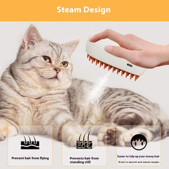 USB Steam Grooming Brush