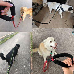 Guinzaglio Lumisono a Catena per Cani di Piccola, Media Taglia e Cuccioli