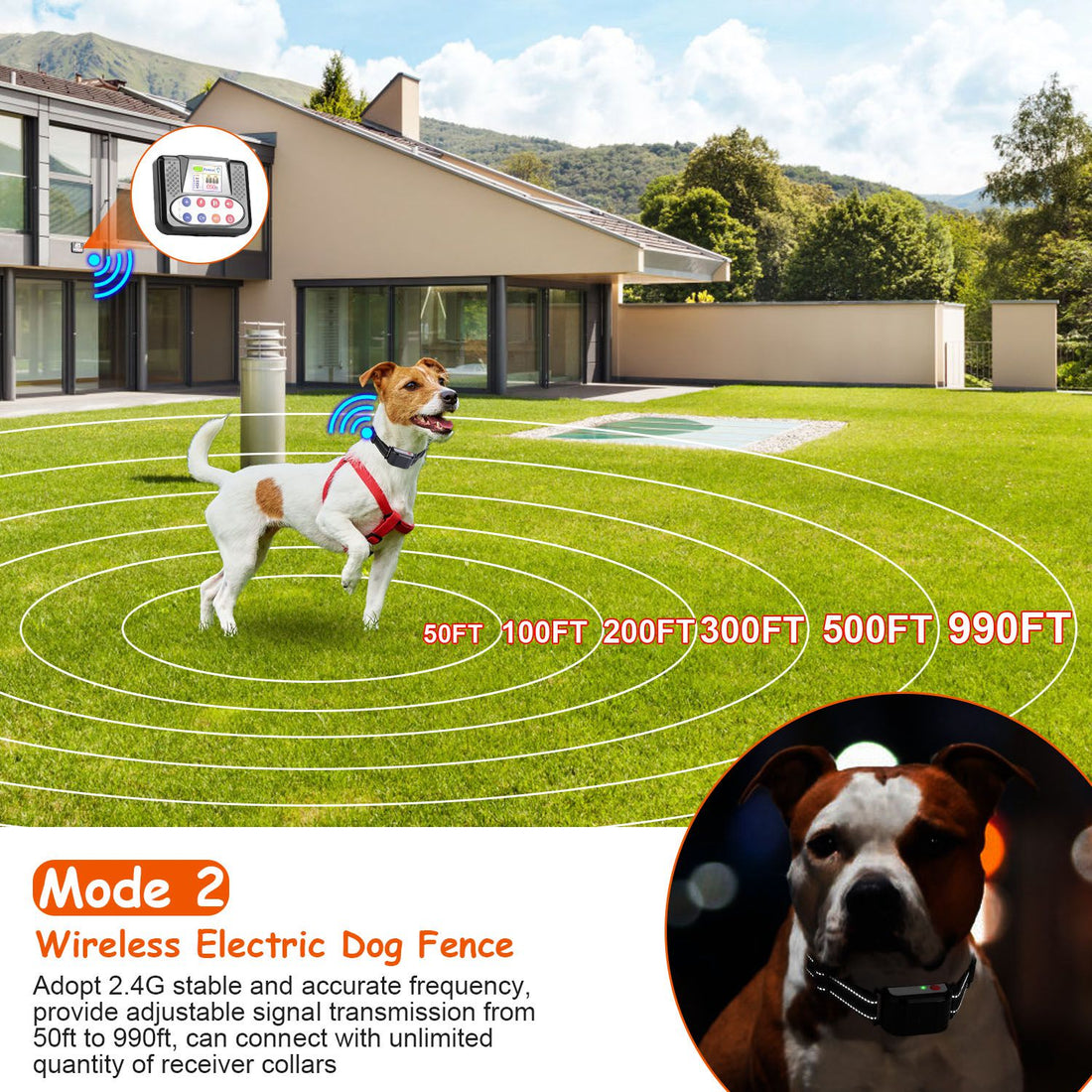1 Set di Collare Addestramento Remoto per Cane con Recinto Wireless da 300 Metri, Ricevitore Impermeabile IPX6 con Modalità Bip Vibrazione Scossa da 0-9 Livelli, Sistema Trasmettitore Ricaricabile a 4 Canali