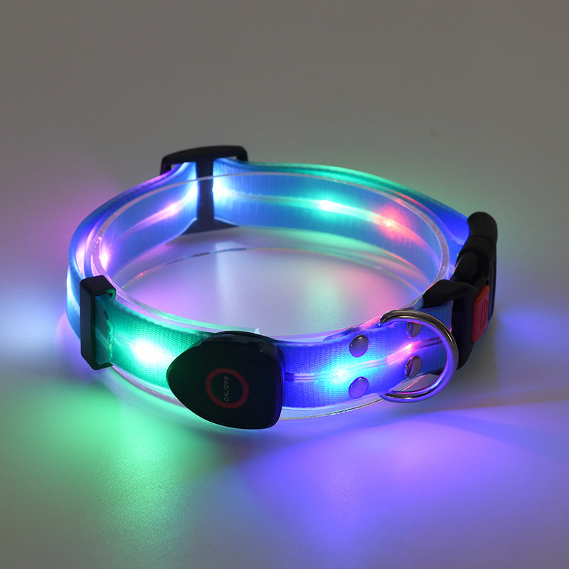 Collare Luminoso a LED Ricaricabile per Animali Domestici in Nylon con Corda da Tiro