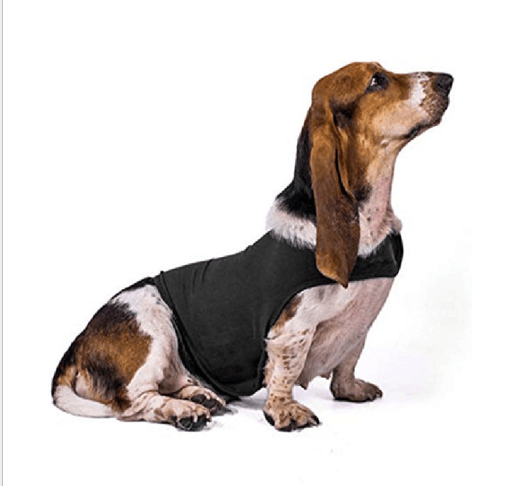 Gilet Antistress Estivo Terapeutico per Calmante Gatto Abiti Comfort per Cani