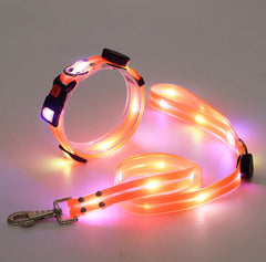 Collare Luminoso a LED Ricaricabile per Animali Domestici in Nylon con Corda da Tiro