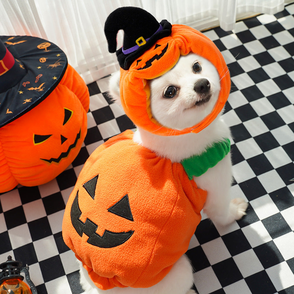 Gilet Zucca di Halloween per Cani Gatti Costume Festivo per Animali Domestici Imbracatura Divertente Abbigliamento di Ringraziamento Natale per Piccoli Animali
