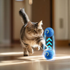 Pallina Giocattolo Intelligente per Cani, Giocattolo Interattivo Elettronico per Animali Domestici, Pallina Rimbalzante Automatica con Ricarica USB per Cuccioli, Regalo di Compleanno, Prodotto per Gatti